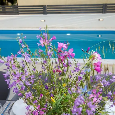 Guest house Lesinger